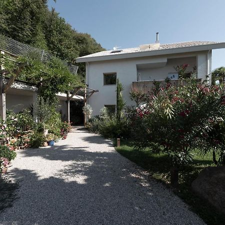 La Loggia Georg Apartment Pianizza di Sopra Екстериор снимка